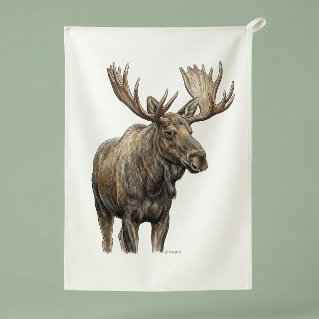 Bull hirvi - keittiöpyyhe 50x70 cm