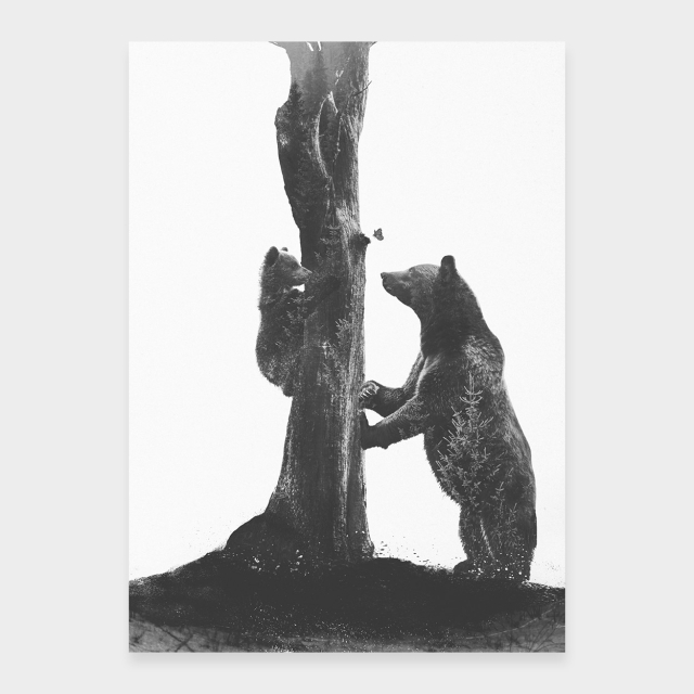 Mama Bear