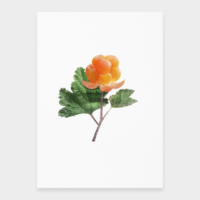 Cloudberryt