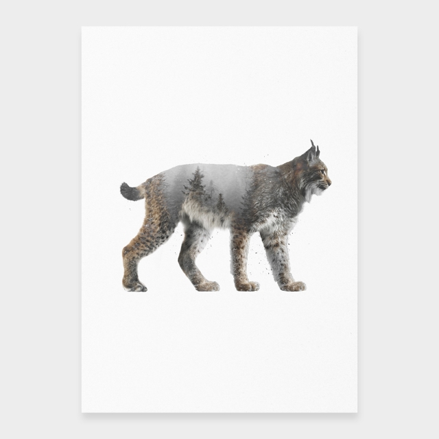 Ilves