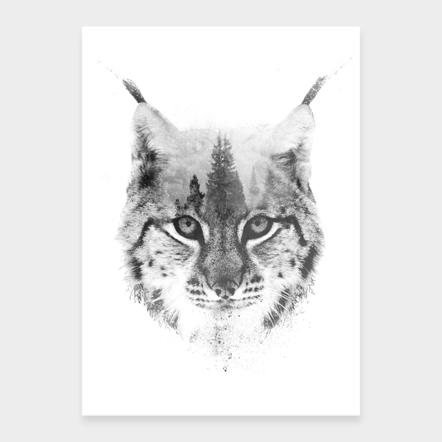 Lynx-muotokuvat