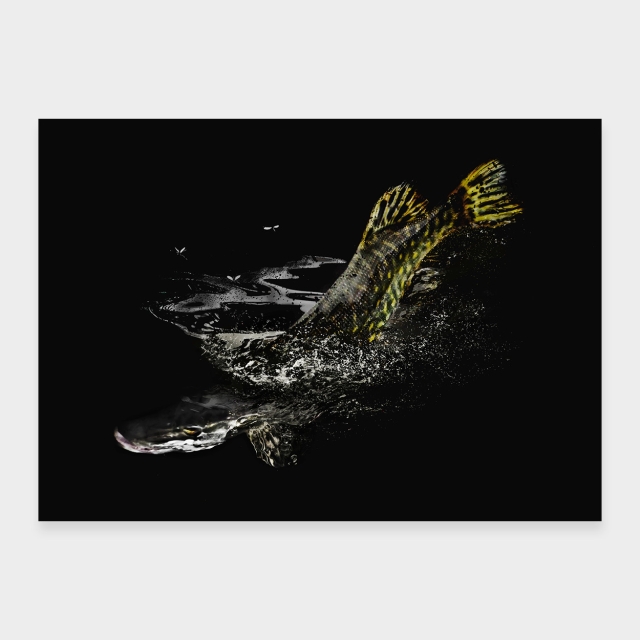 Pike pinnan alla