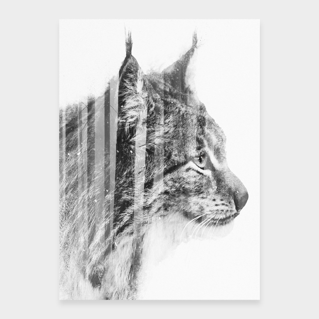 Ilves
