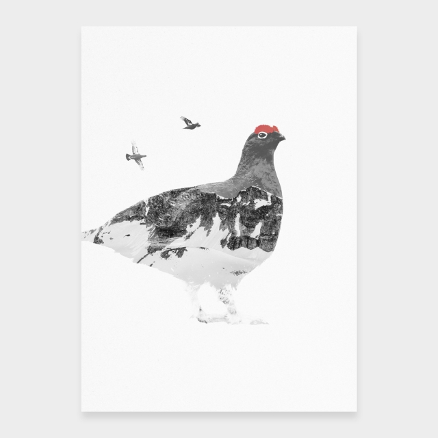 Ptarmigan