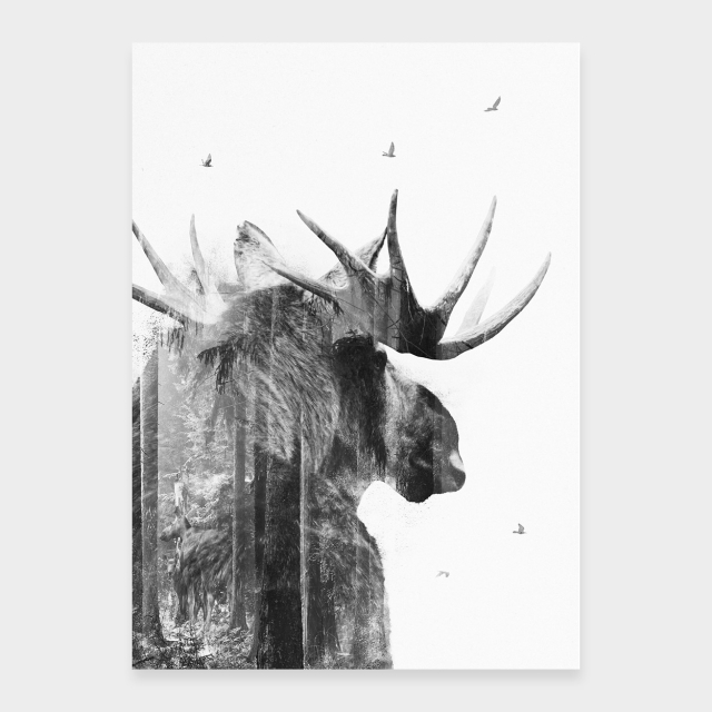 Moose-suku